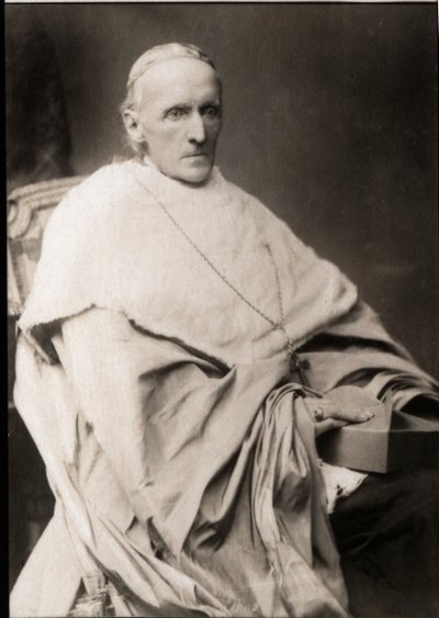 Ritratto di Cardinale Henry Edward Manning (1808-1892) da French Photographer